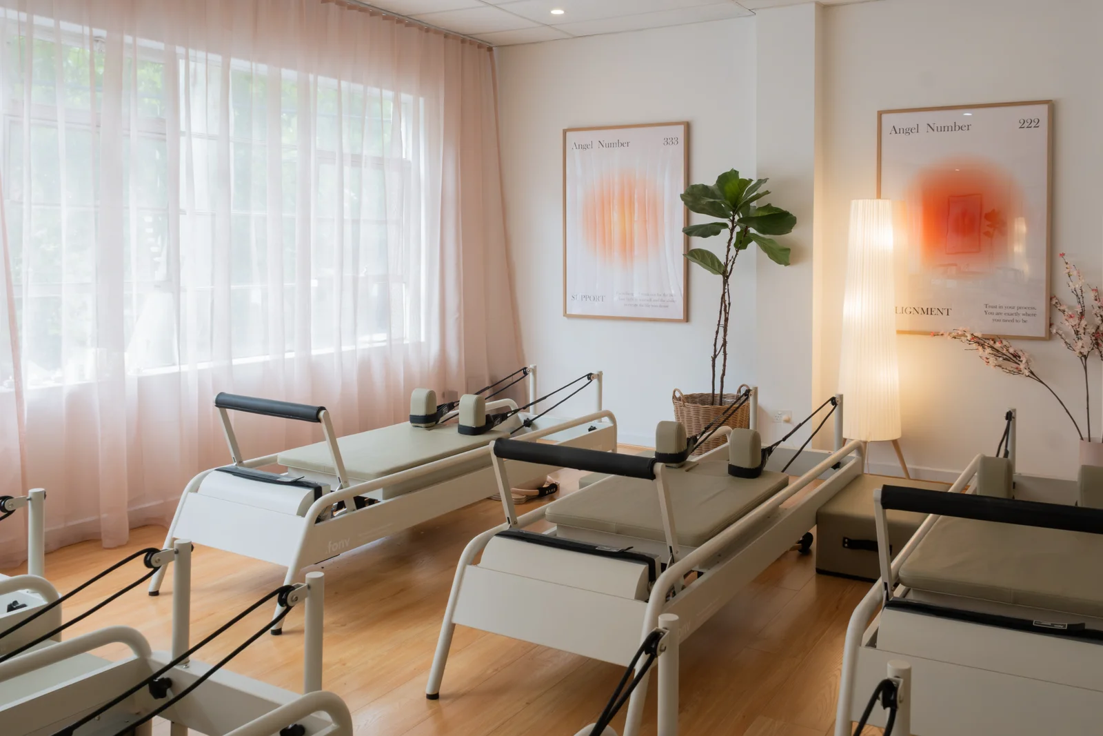 Reformer beds beside a leafy window with sheer blush curtains, framed prints and a fiddle-leaf fig in the Carlton studio.